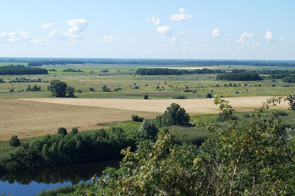 Руський Орчик (Джерело - uk.wikipedia.org)