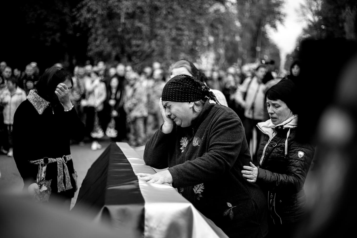 _MG_5512