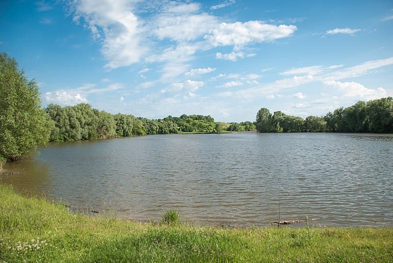 Ілюстративне фото
