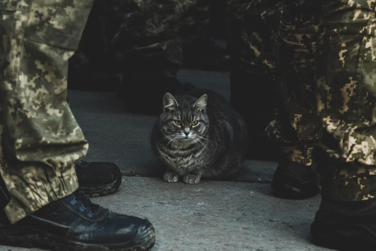 Ілюстративне фото