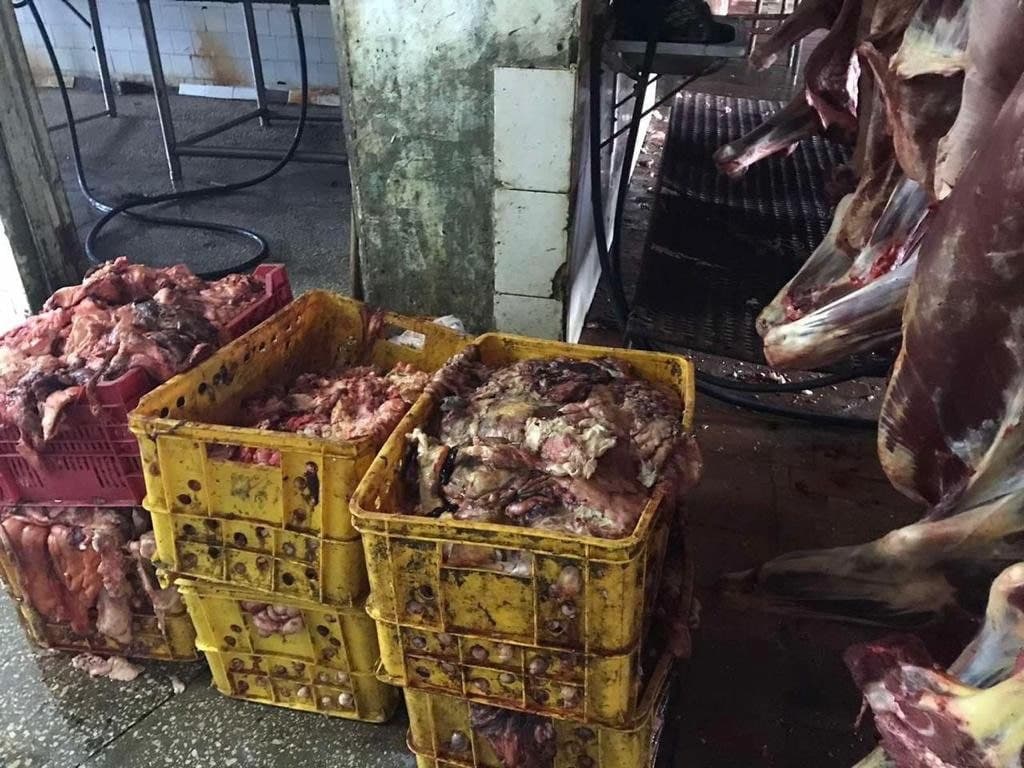 Умови, в яких готували тушкованку