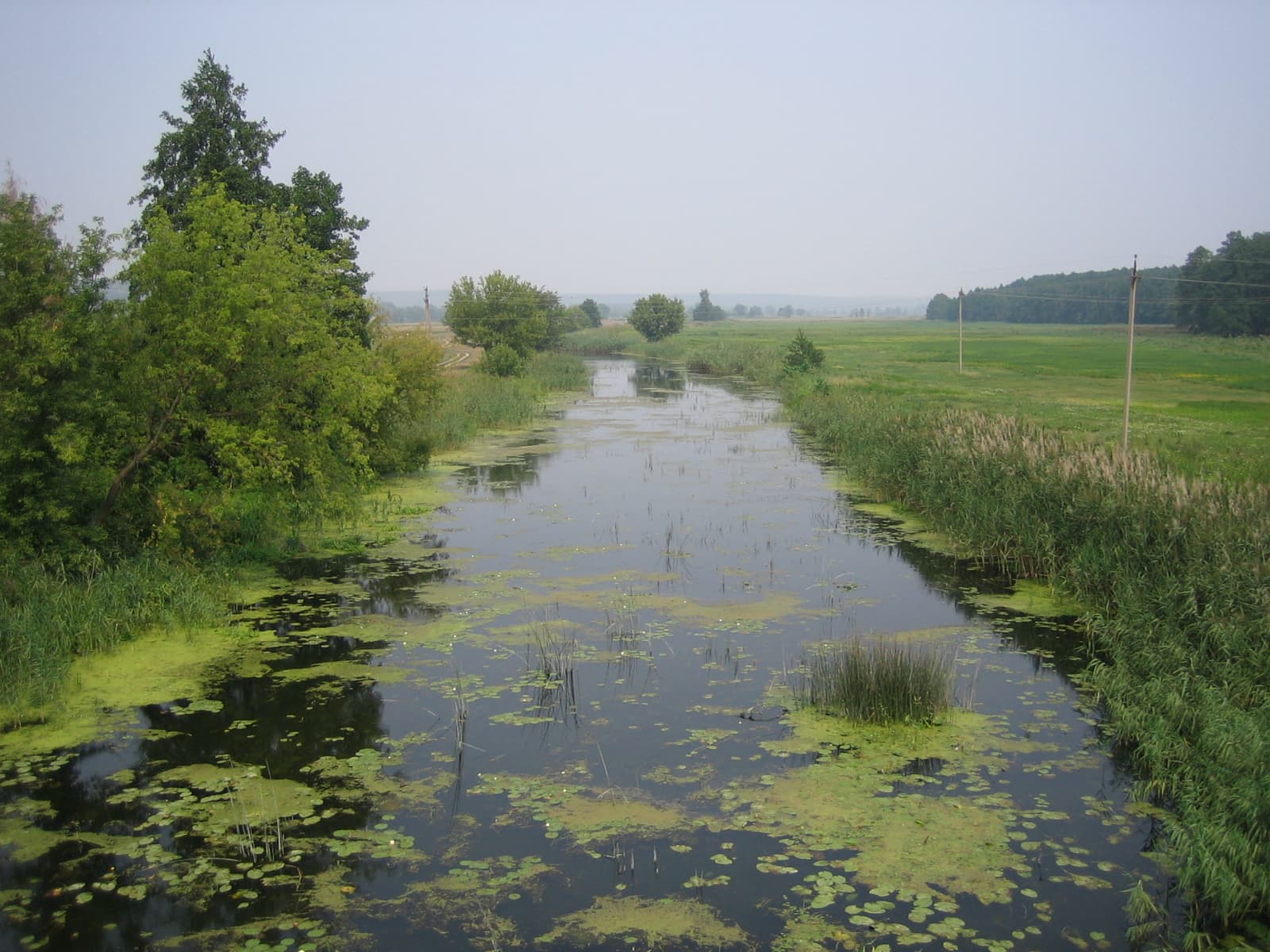 Річка Мерла