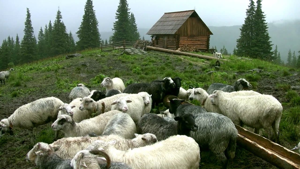 Ілюстративне фото