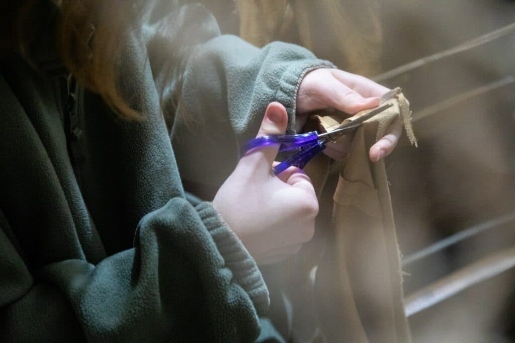 де волонтерити