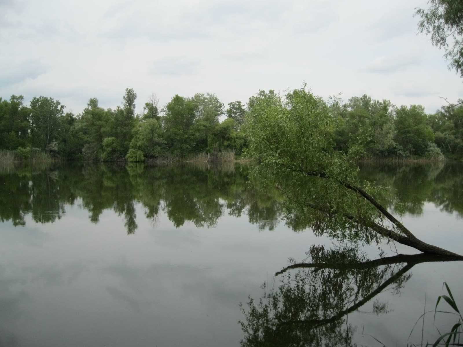 Ілюстративне фото