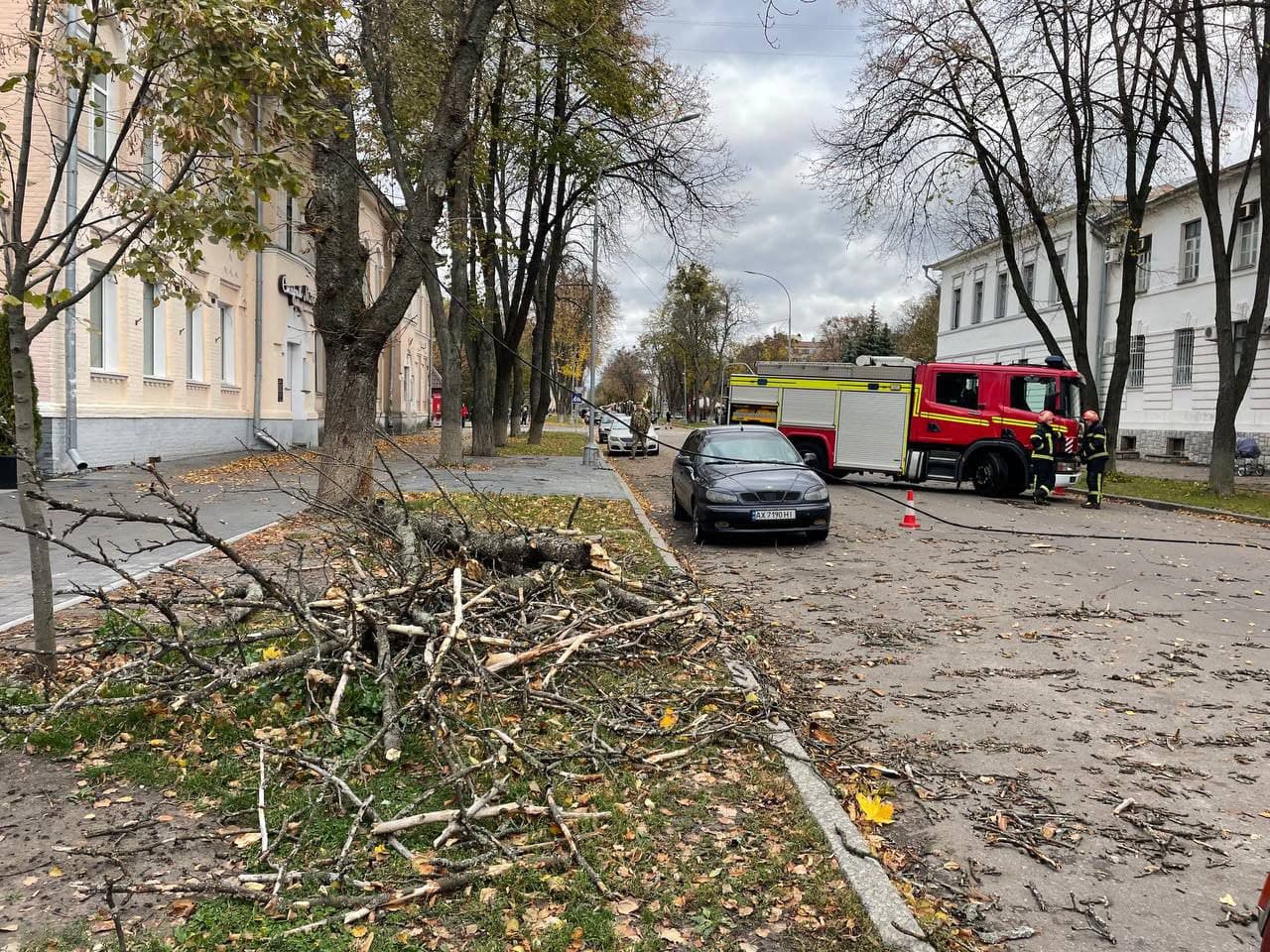 Ілюстративне фото. Падіння дерев через вітер у Полтаві. Жовтень 2023 року.