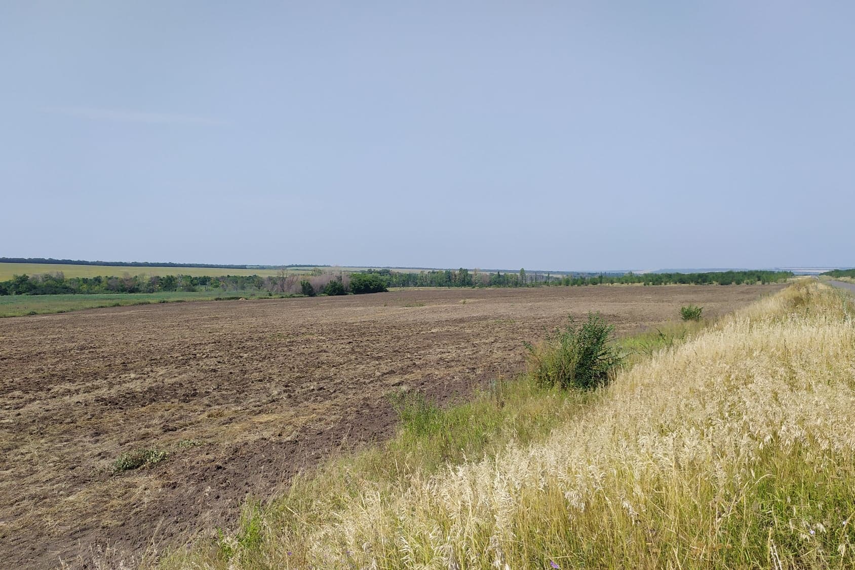 Ілюстративне фото