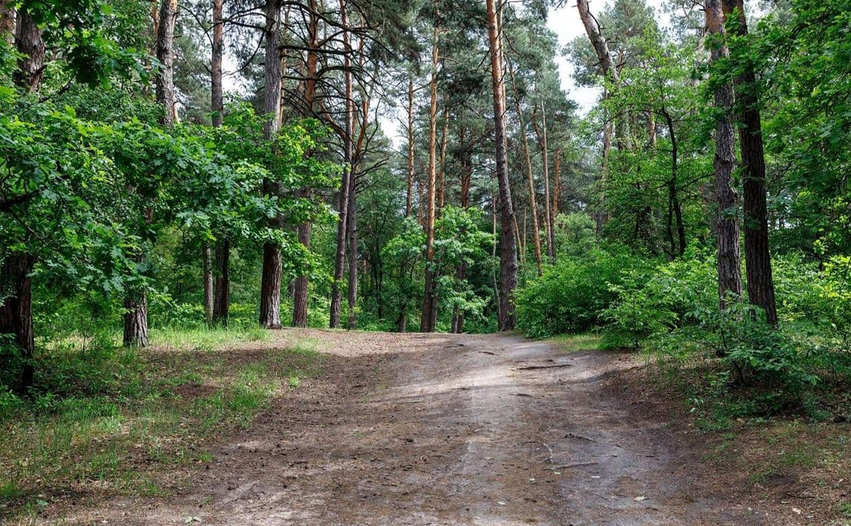 Ілюстративне фото