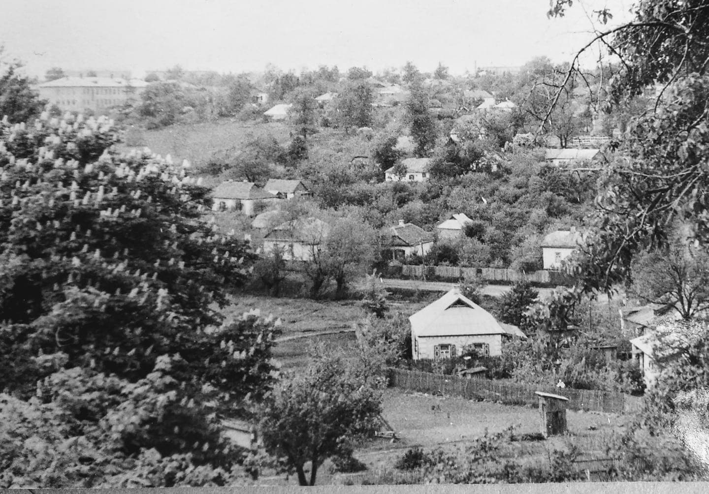 Вул. Мясоєдова, Павленки. На рубежі 1950-1960-х років