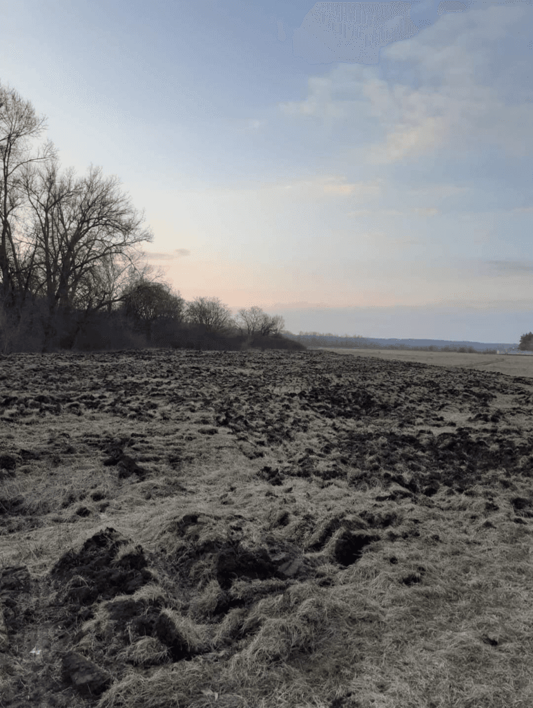 пасовища під Новими Санжарами