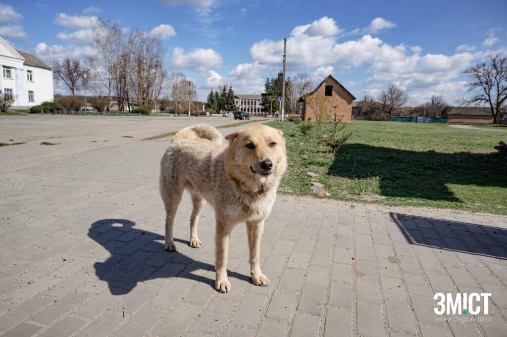 Веприк