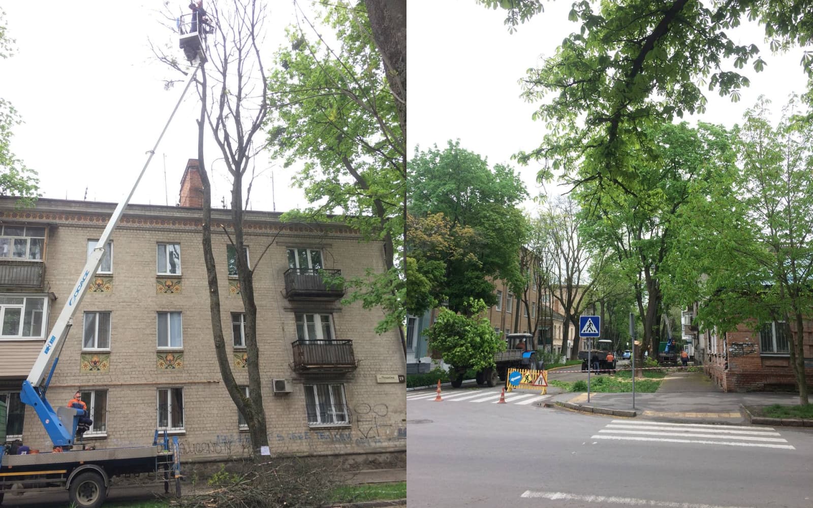 Спилювання дерев на вул. Юліана Матвійчука у Полтаві