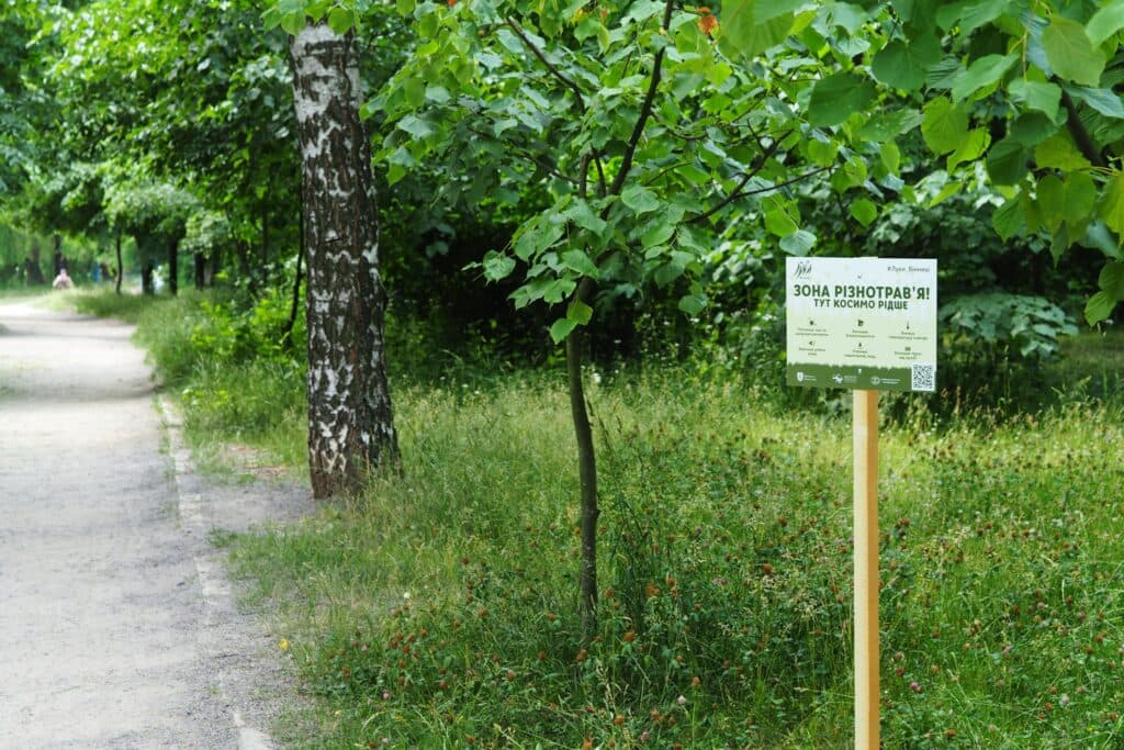 Міські луки
