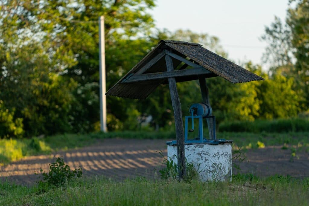 Лелеки Грицько та Одарка Фото – «Українська правда»