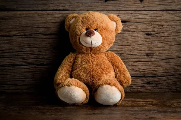 depositphotos_74153563-stock-photo-teddy-bears