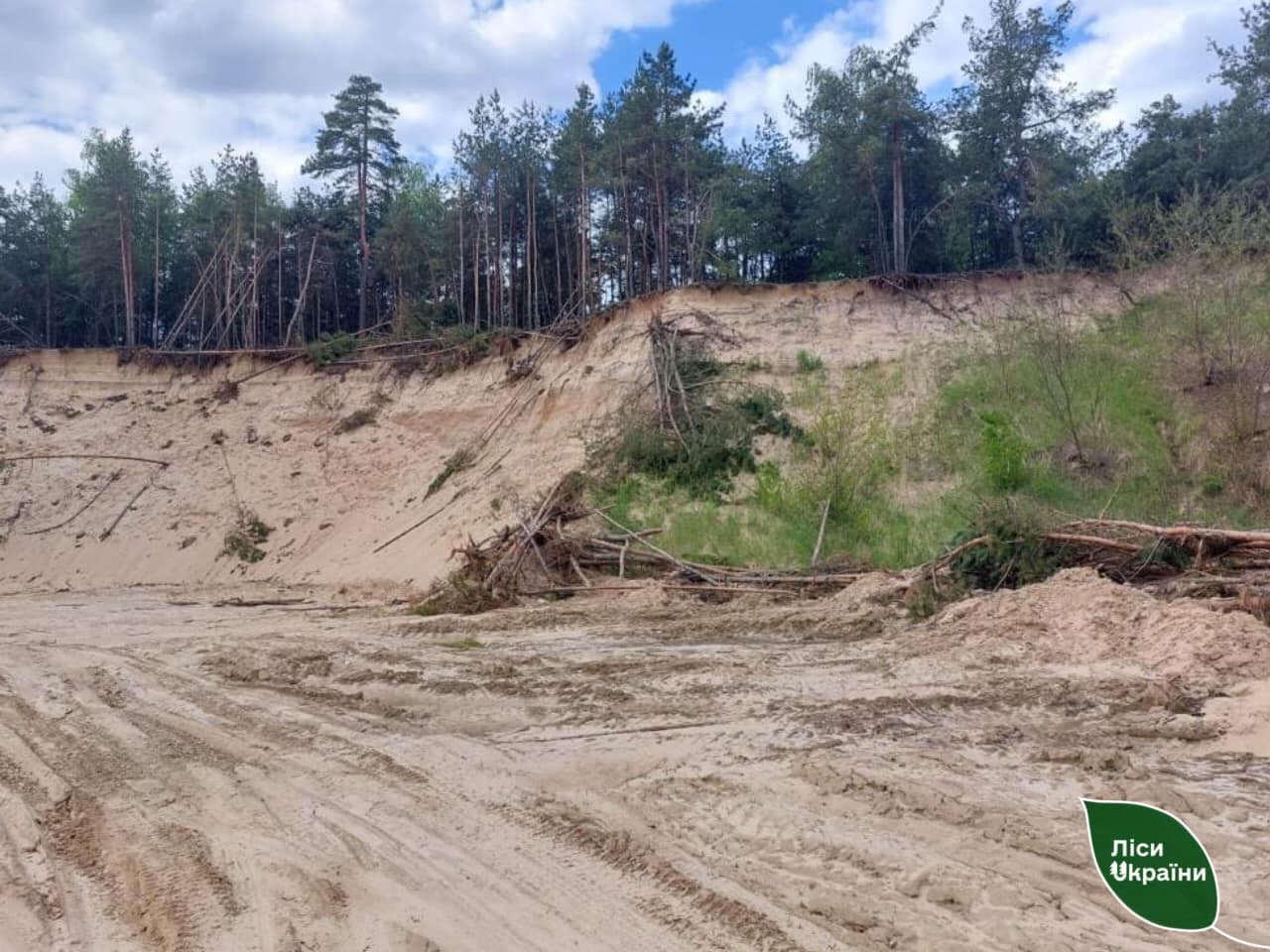 Знищений ліс на Полтавщині