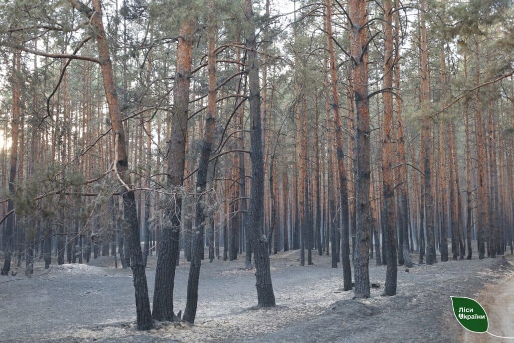 Уламки дронів спричинили пожежу