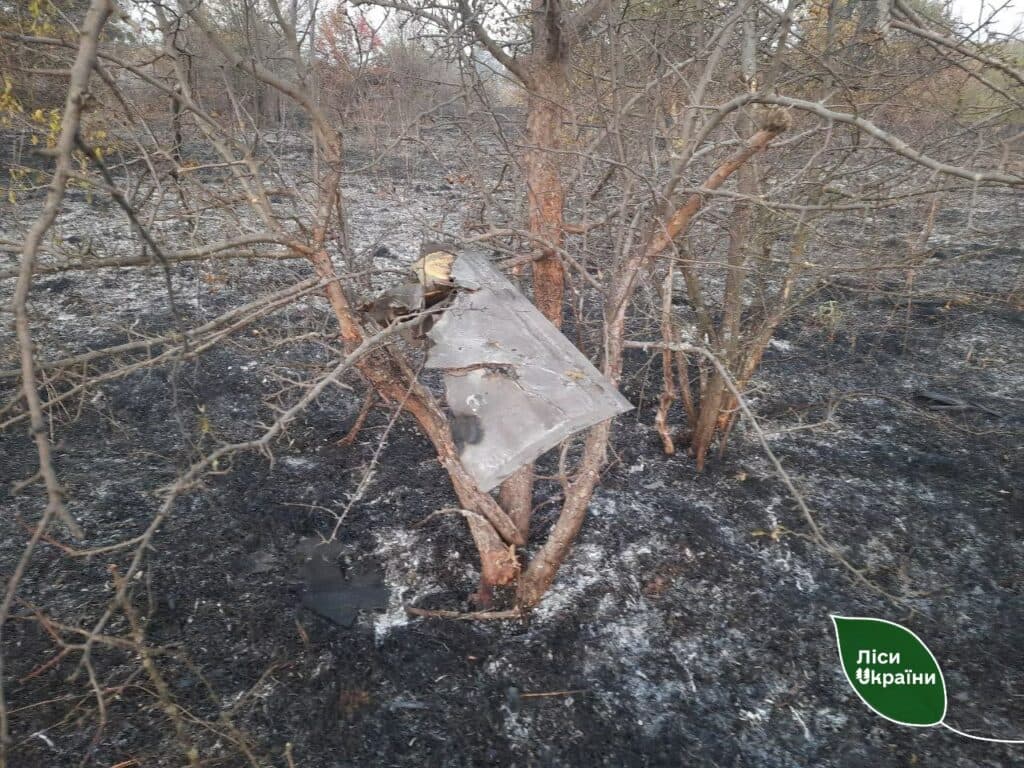 Дрони