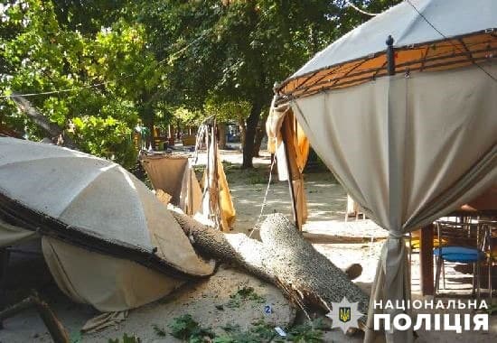 Гілка впала на дітей у Полтаві