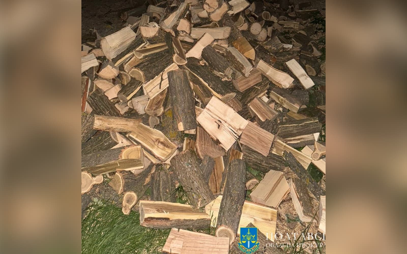 На Полтавщині незаконно рубали дерева