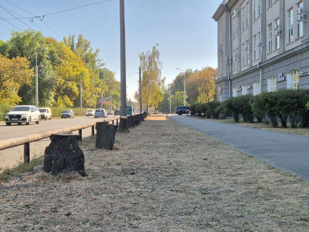Спиляні дерева біля заводу «Лтава»
