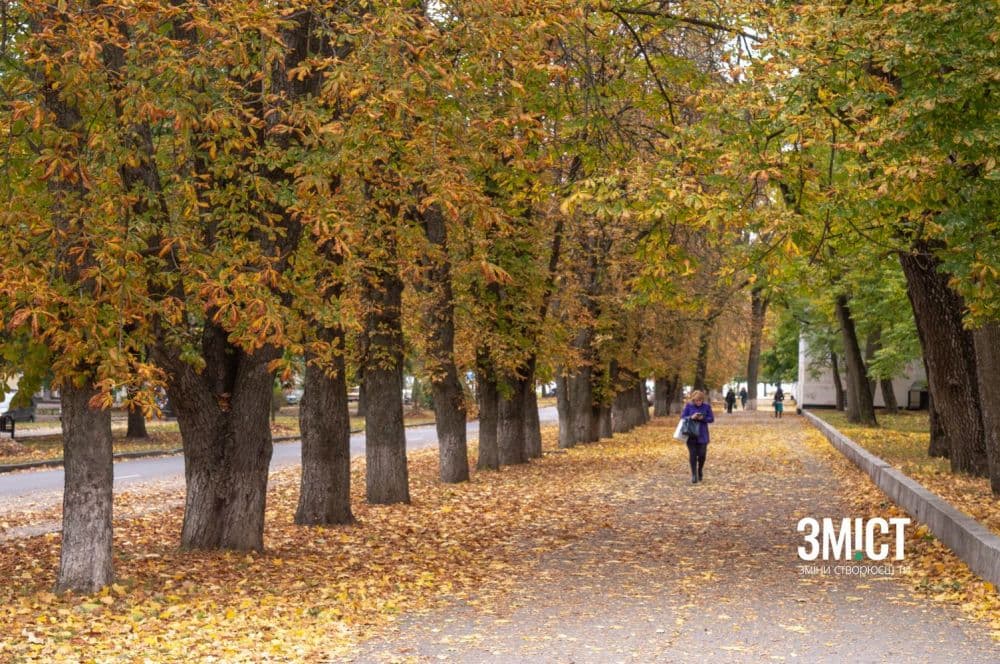 Ілюстративне фото