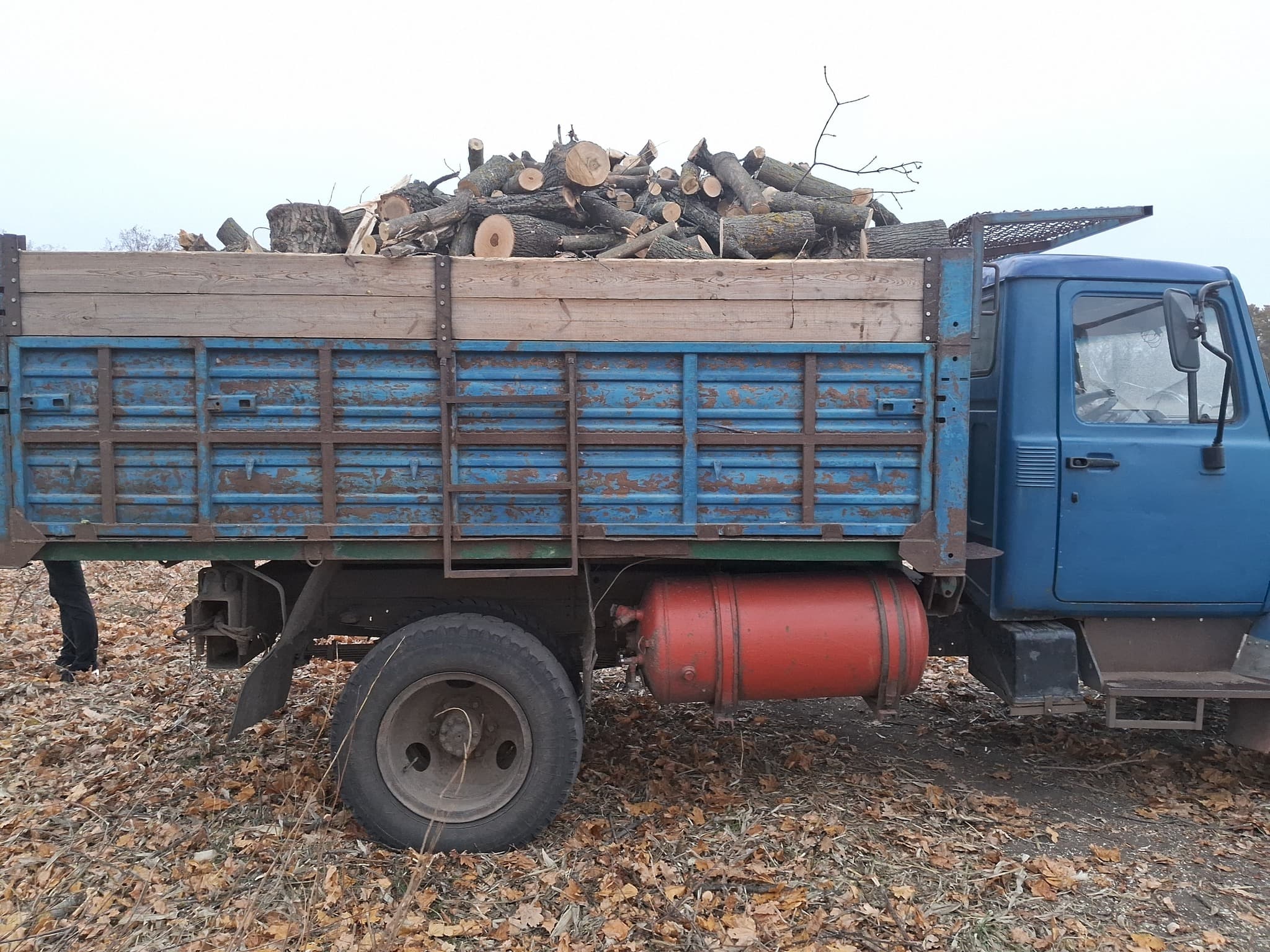 У лісосмузі Полтавщини вирубали дерев на майже пів мільйона гривень