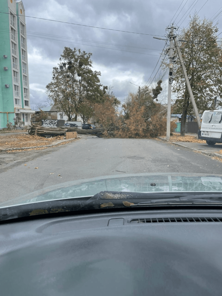 Вітер