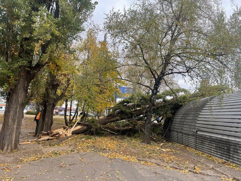 У Полтаві падають дерева, 4 листопада