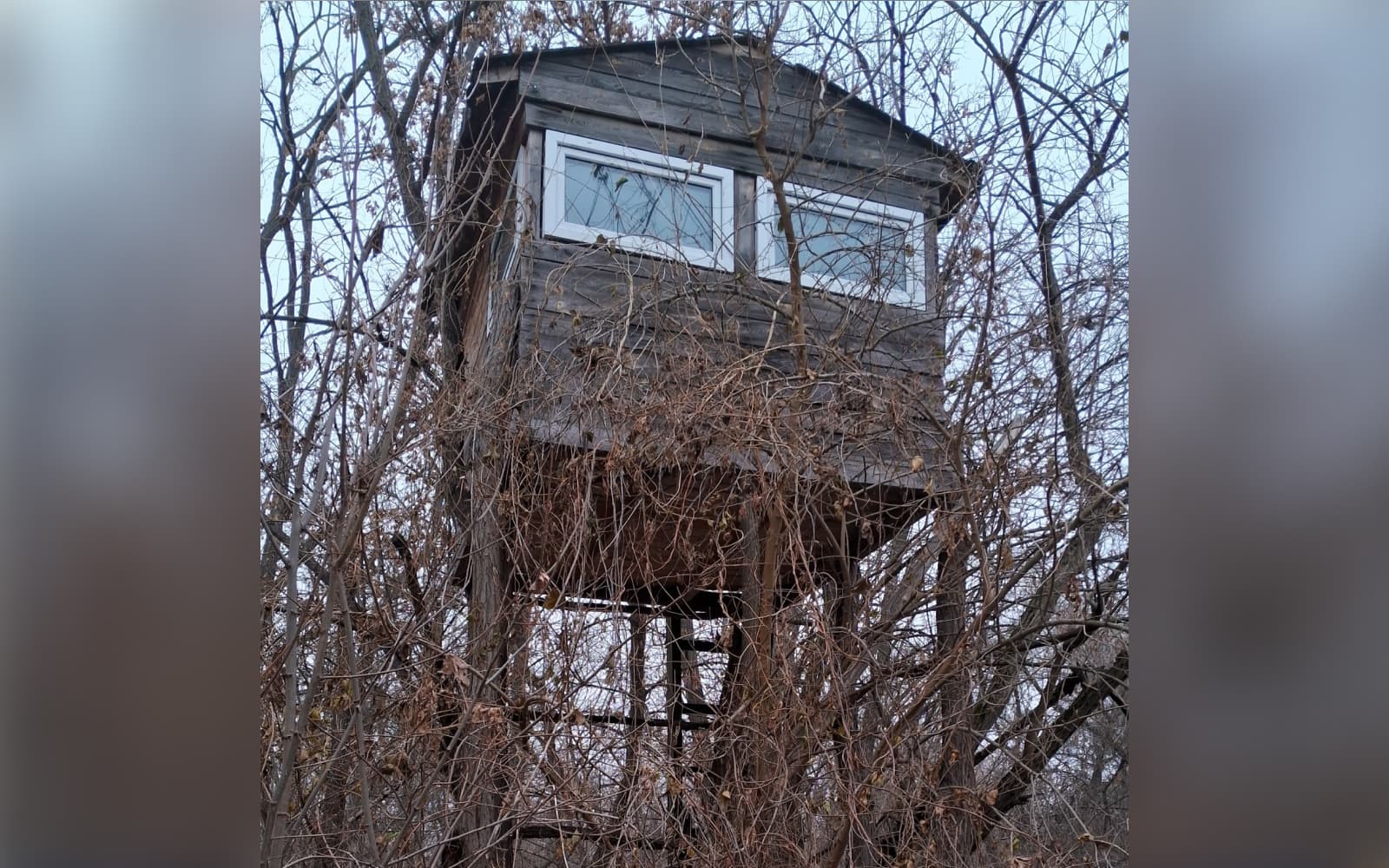 У заказнику на Полтавщині виявили «браконьєрську вежу»
