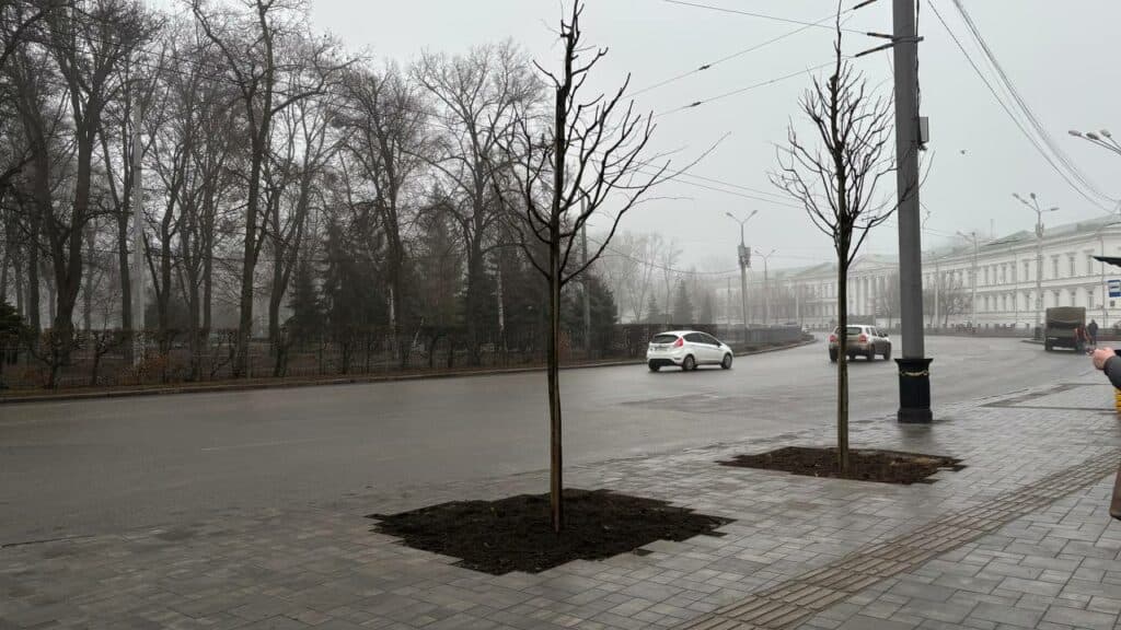 Дерева