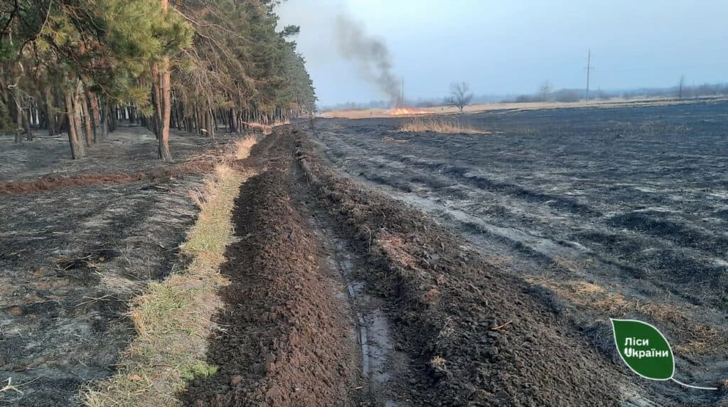 Пожежа в лісі