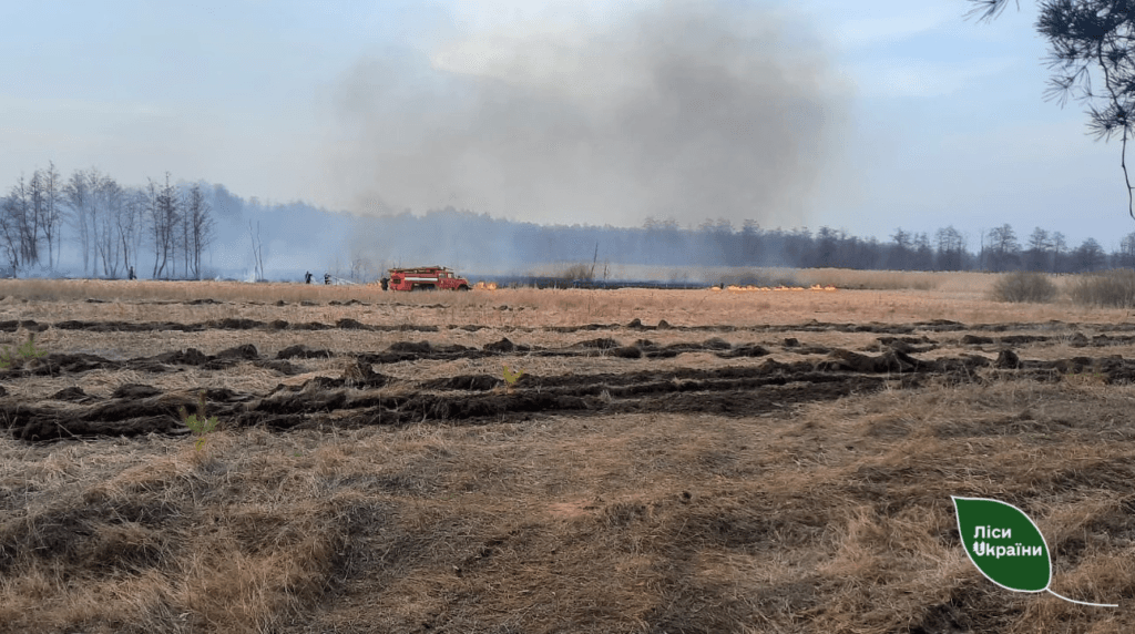Пожежі на Полтавщині