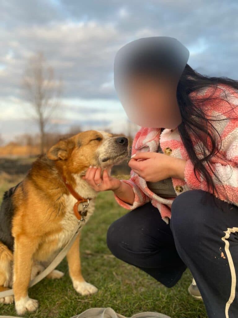 Пес Дендрик у новій родині