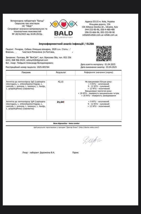 Причиною смерті Дендрика став інфекційний гепатит (хвороба Рубарта). Дендрик помер 2 квітня