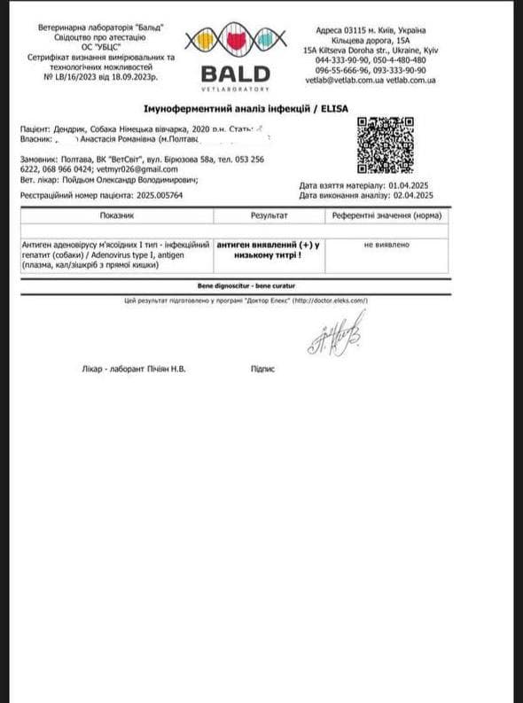 Причиною смерті Дендрика став інфекційний гепатит (хвороба Рубарта). Дендрик помер 2 квітня