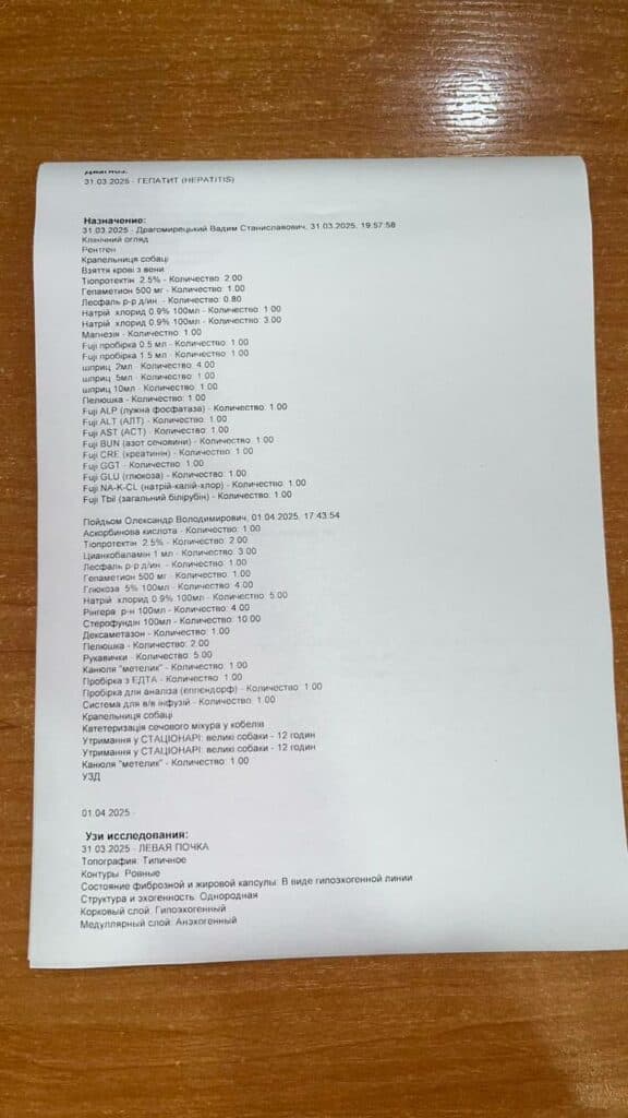 Причиною смерті Дендрика став інфекційний гепатит (хвороба Рубарта). Дендрик помер 2 квітня