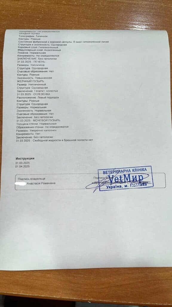 Причиною смерті Дендрика став інфекційний гепатит (хвороба Рубарта). Дендрик помер 2 квітня