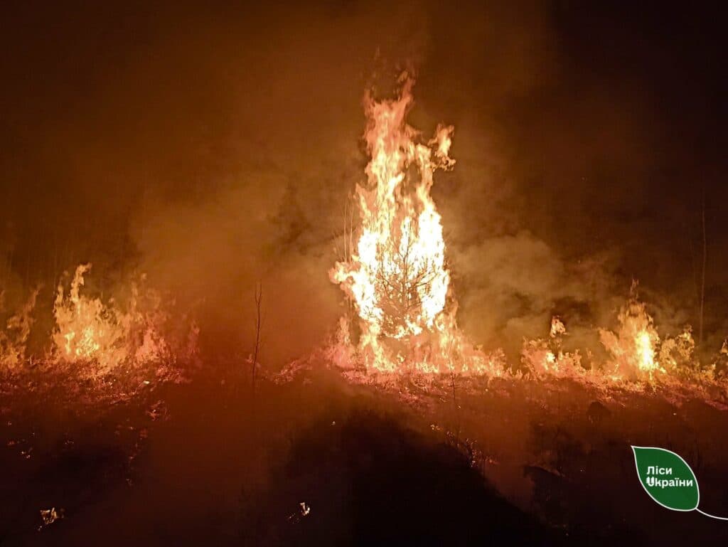 Замінований ліс допомагає врятувати від пожежі команда з Полтавщини