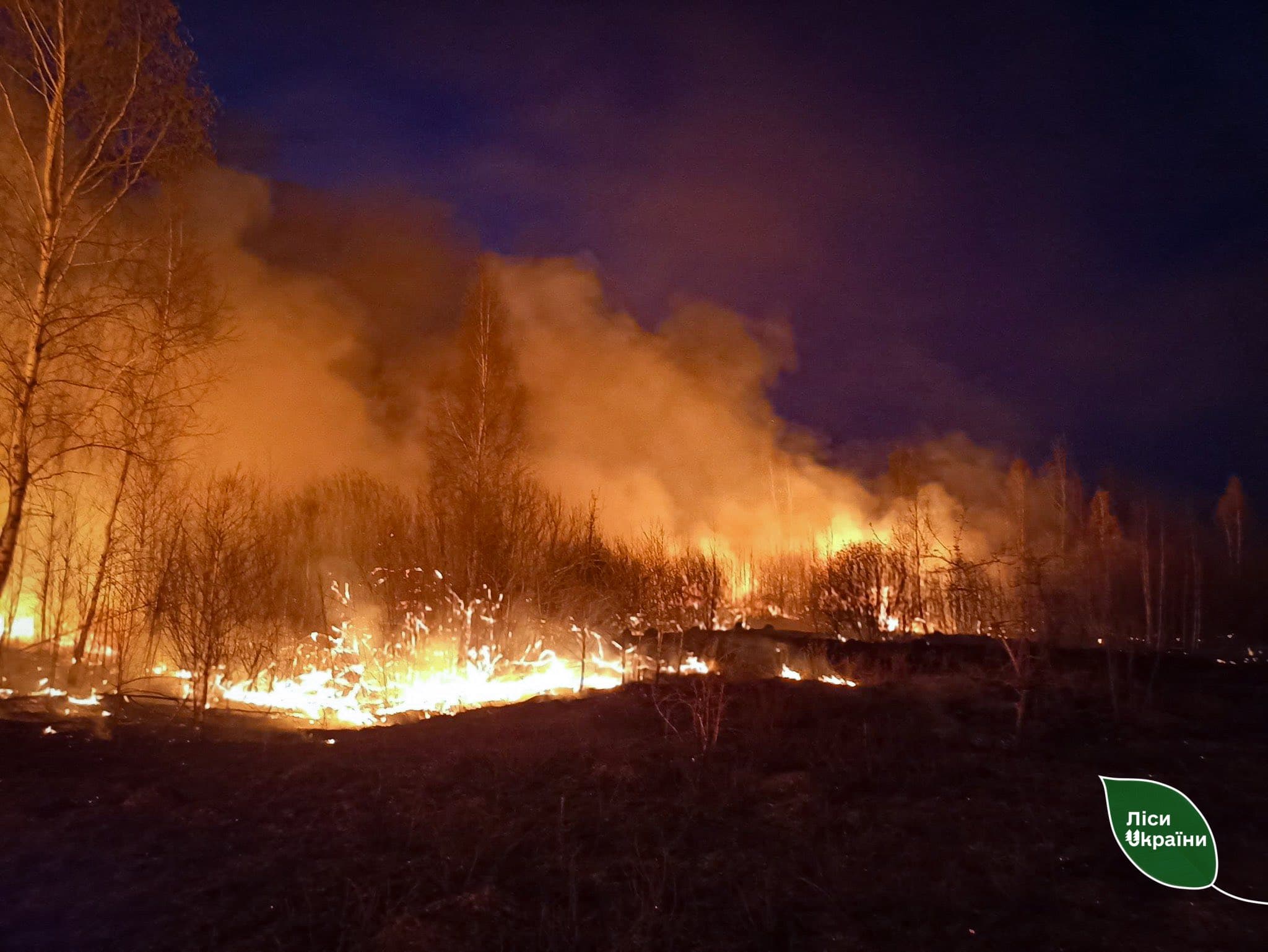 Пожежі у лісах