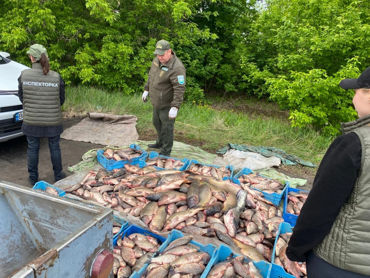 Незаконно виловлена риба