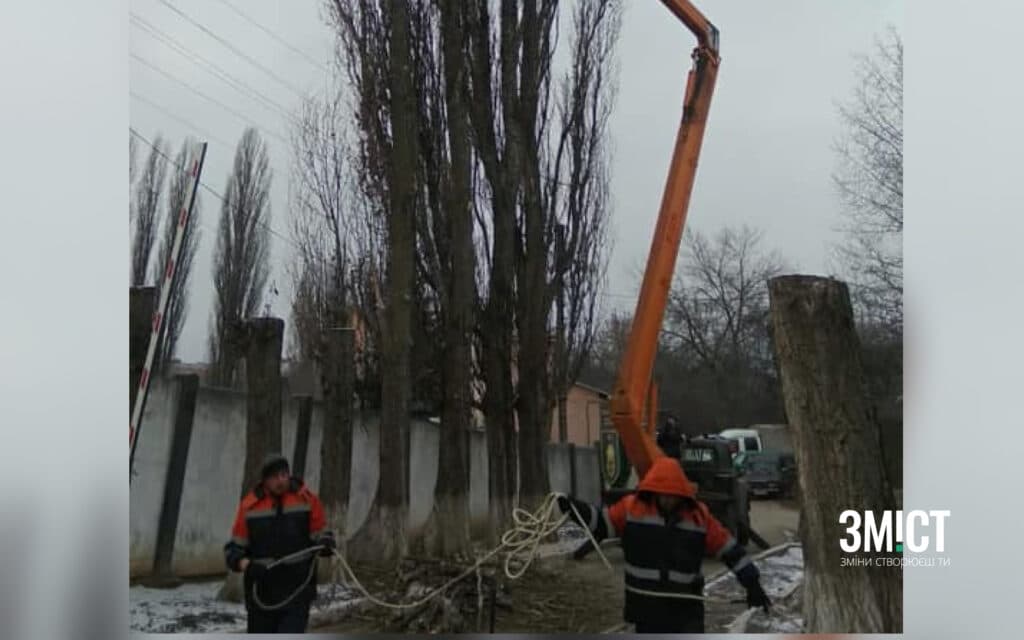 Тополі у Полтаві