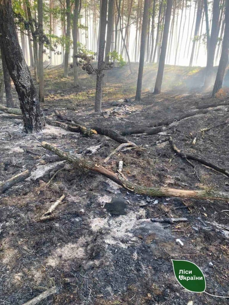пожежі атака дронів вогонь