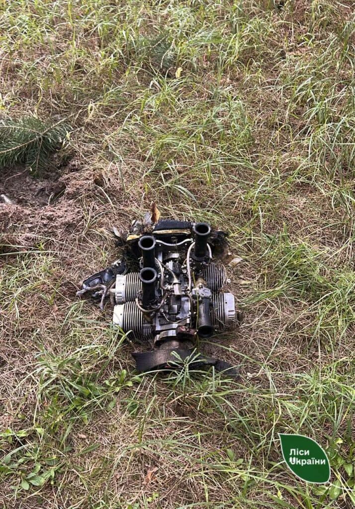 пожежі на Полтавщині горить ліс