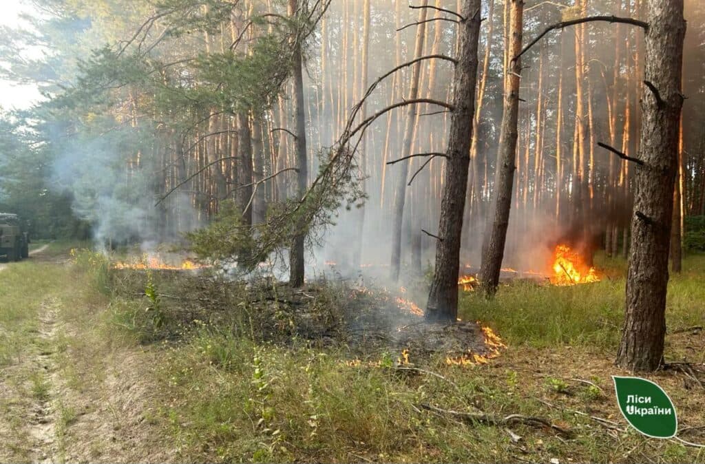 Пожежа в лісі на Полтавщині