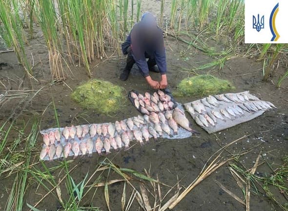 Браконьєрство на Полтавщині
