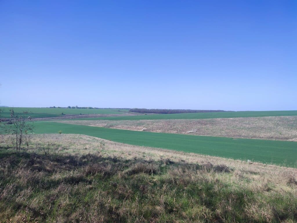 Регіональний ландшафтний парк Диканський