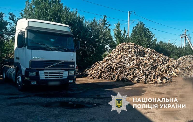 Ілюстративне фото. Затримані на вирубці дерев під Полтавою