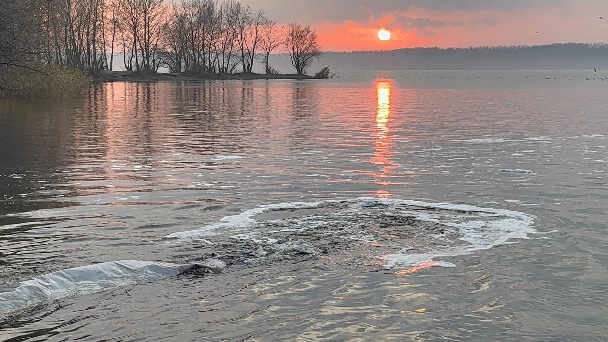 Зариблення водосховища. Ілюстративна світлина