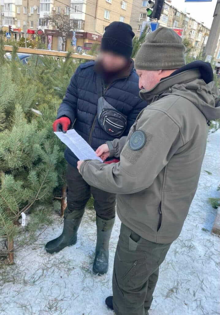 ялинки